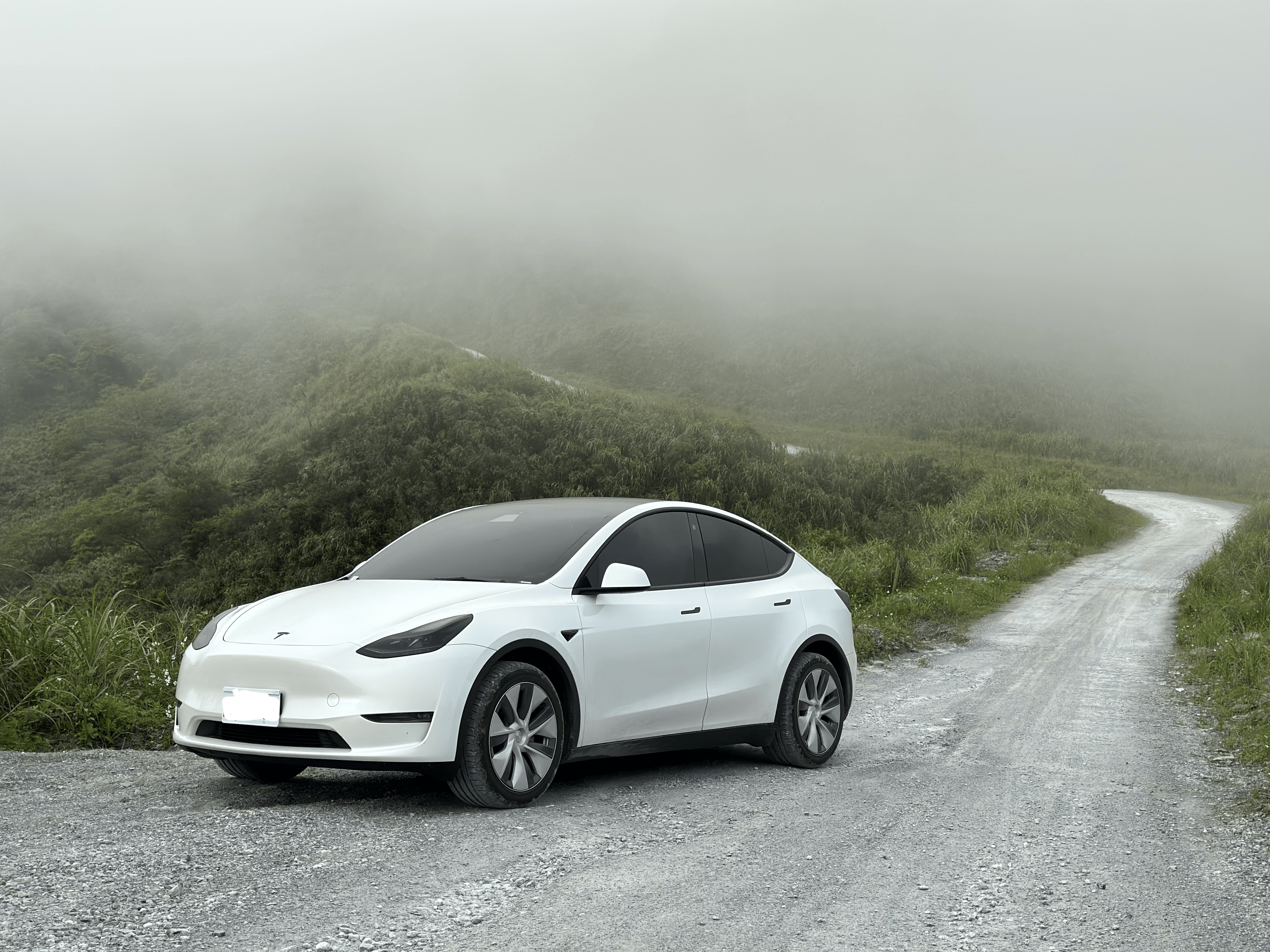 Tesla foggy weather