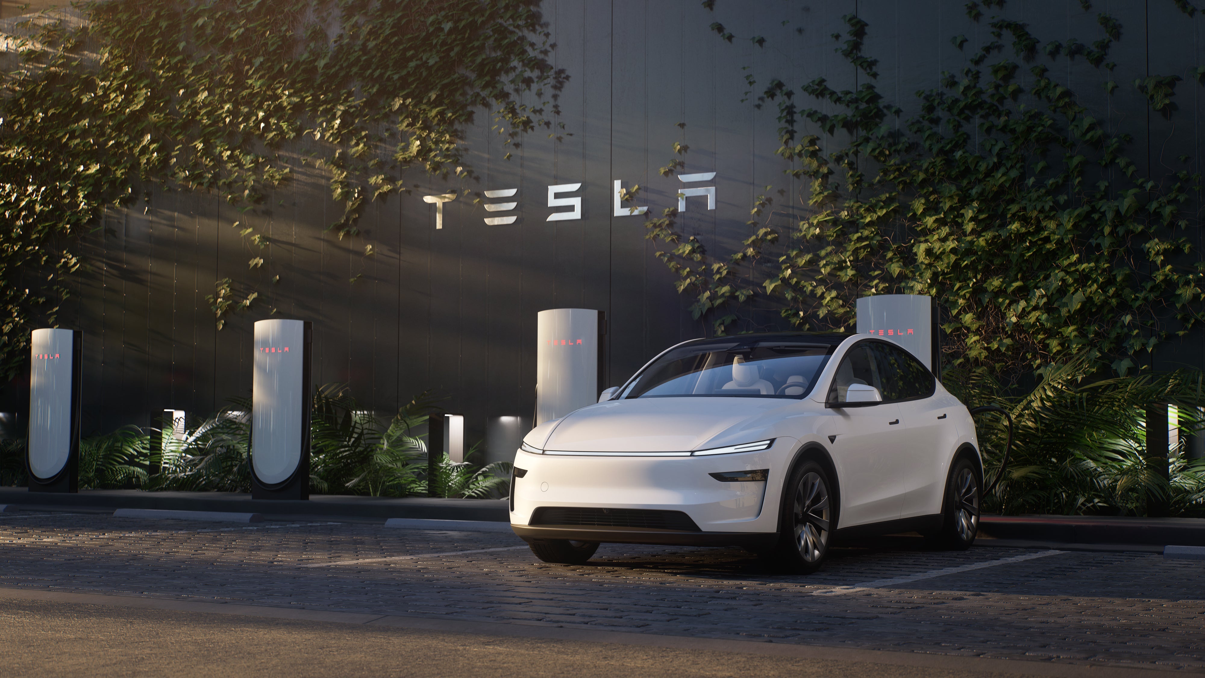 Tesla Unveils 2025 Growth Strategy, Building on 2024 Development Success